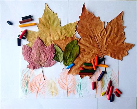 Leaf Rubbing Craft: An Autumn Activity